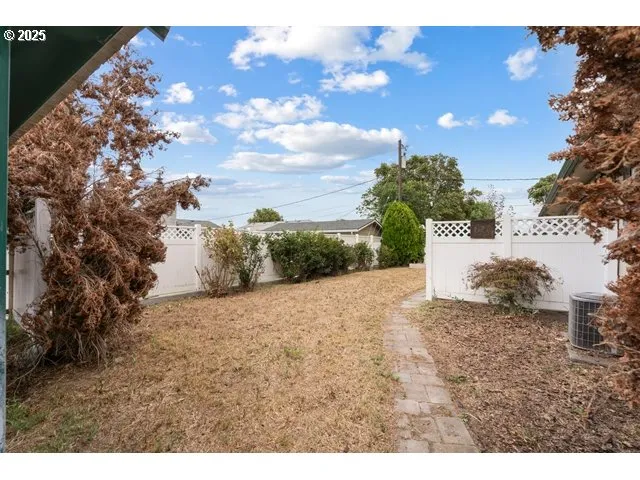 a view of a dry yard with trees