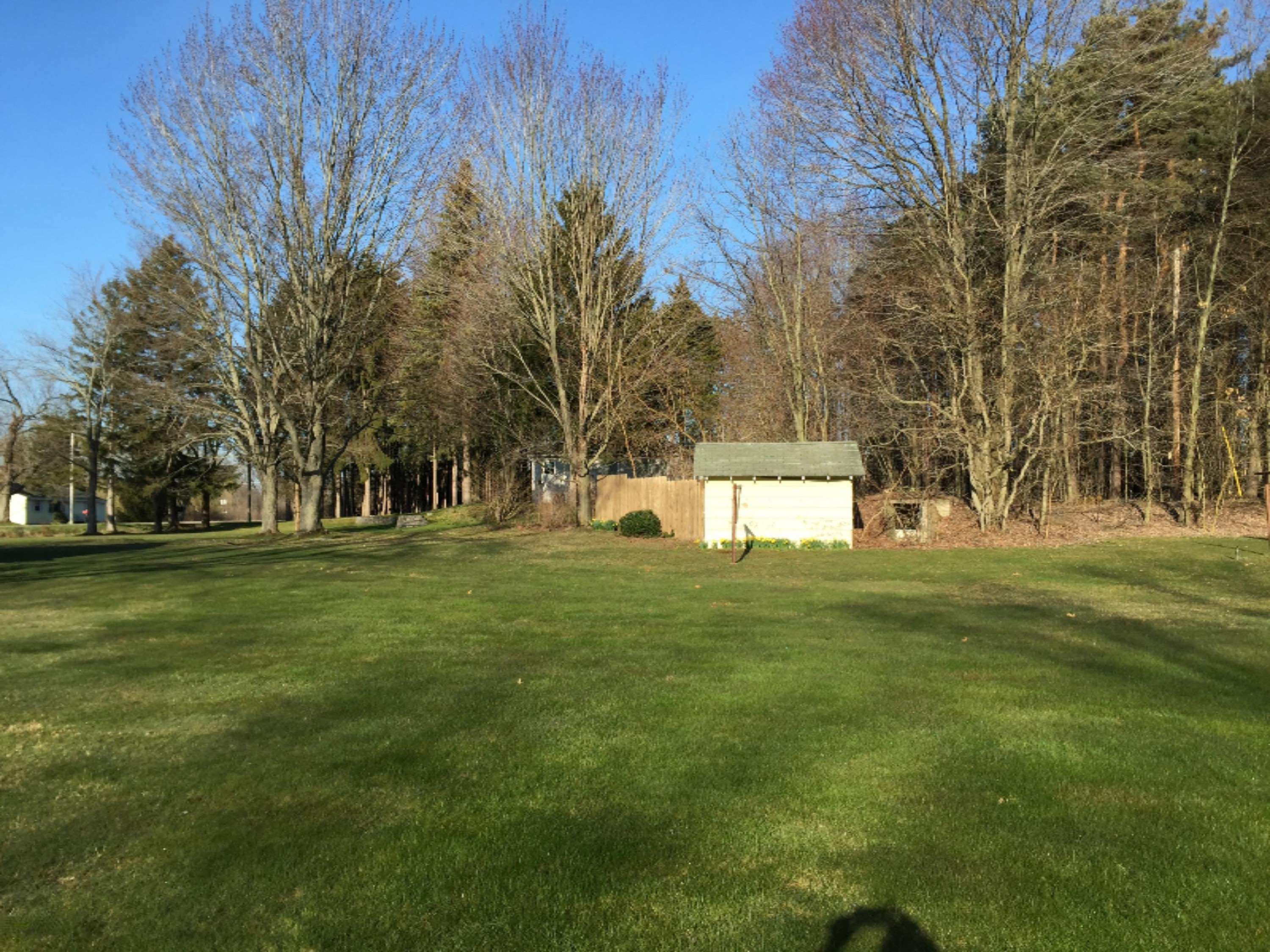 14353 Leonard Road Spring Lake, MI 49456 - Photo 13 of 15 IMG_4431