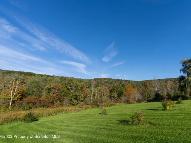 a view of a grassy field with trees