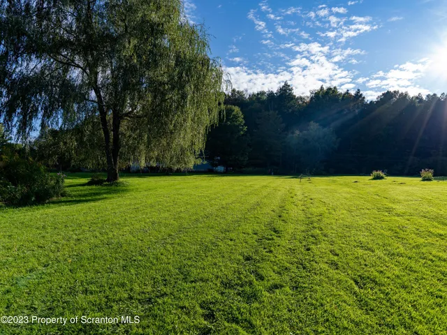 a view of a green yard