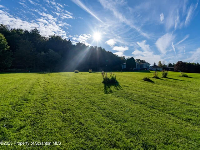 a view of an outdoor space and a yard
