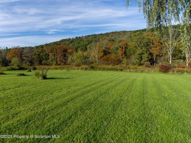 a view of grassy field with mountain