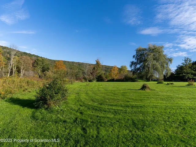 a view of a grassy field with trees
