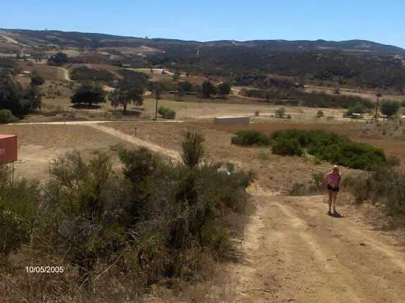 a view of a town with mountains in the background