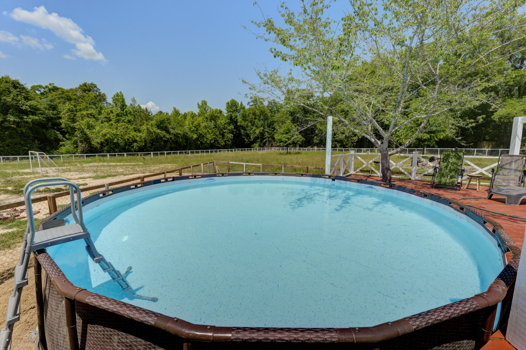 222 Youngs Road Eutawville, SC 29048 - Photo 20 of 43 222 Youngs Rd, Eutawville SC (23)