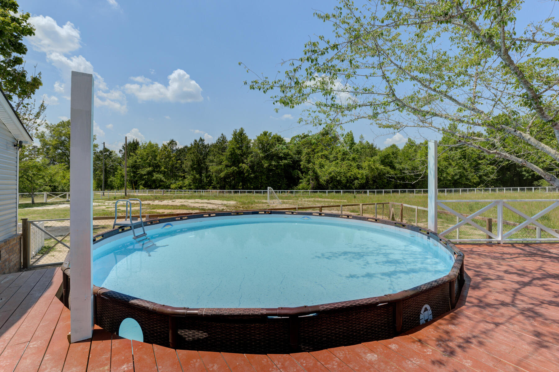 222 Youngs Rd, Eutawville SC (22)