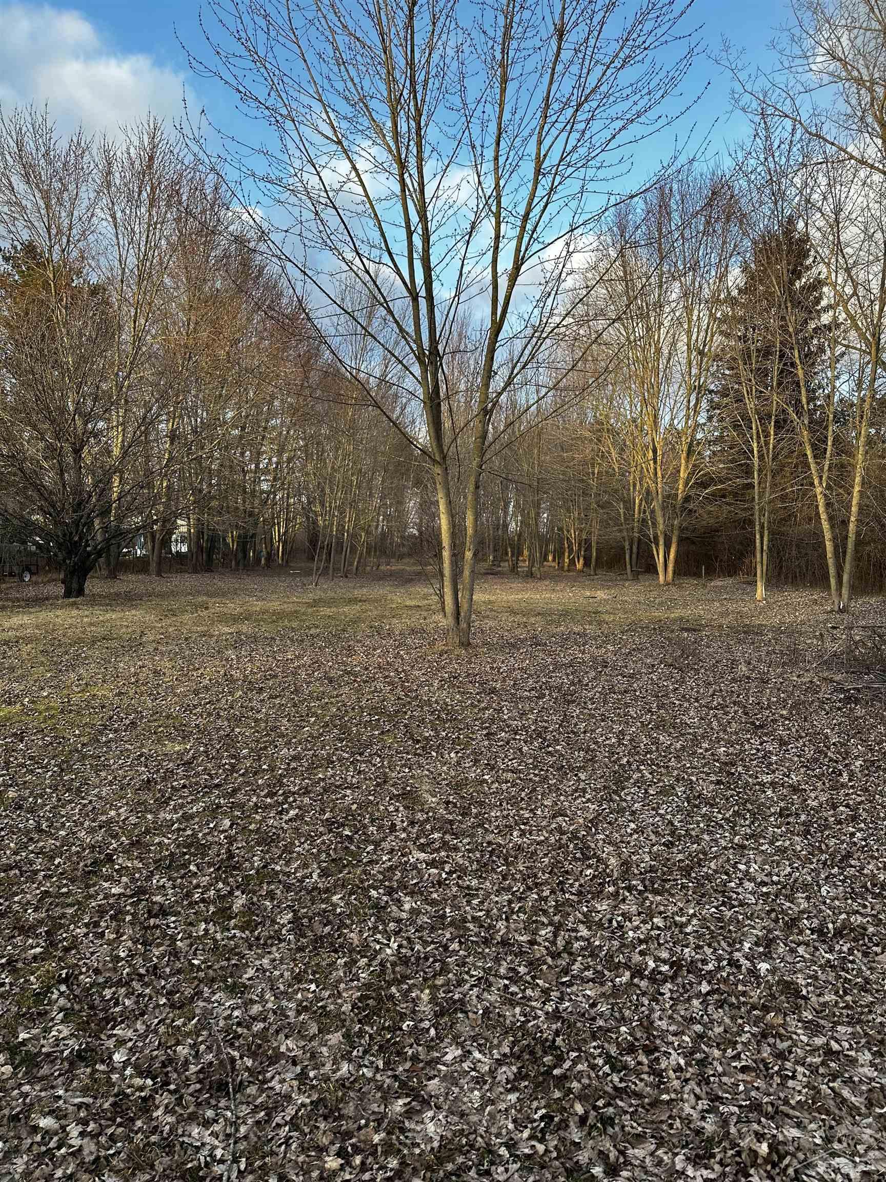 4973 South Saginaw Road Freeland, MI 48623 - Photo 3 of 27 50134743-2a13ceb9-be40-4849-8396-c20c6c66178b.JPG