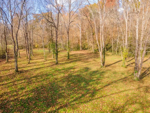 a view of a yard with large trees