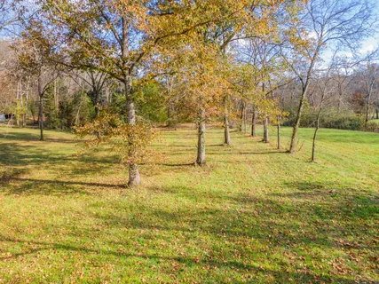 a view of yard with trees