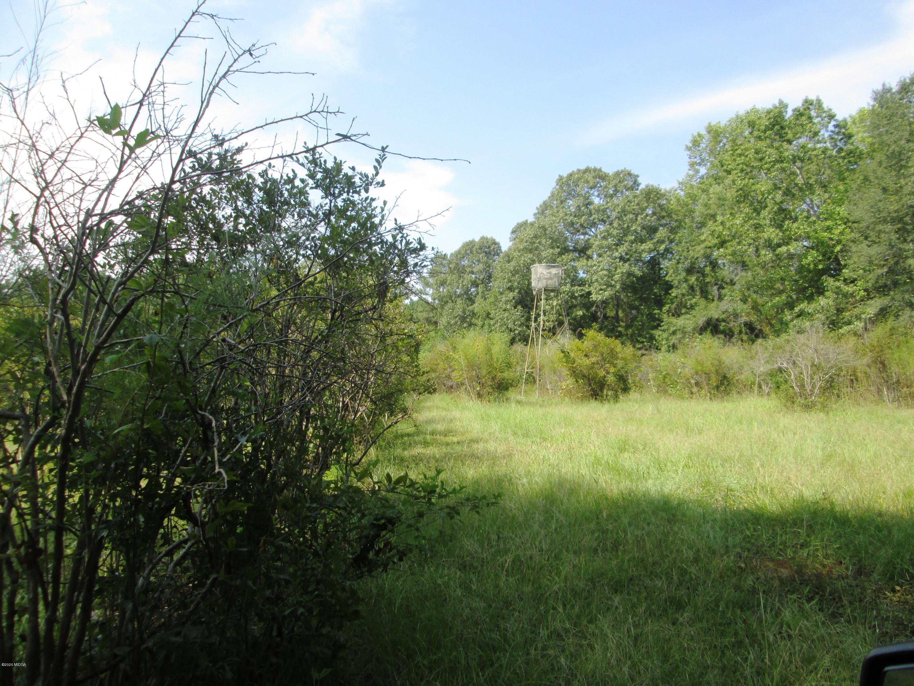 9748 Estes Road Macon, GA 31220 - Photo 138 of 144 65O7