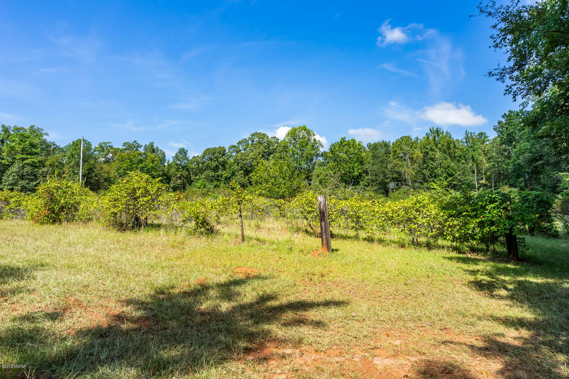 9748 Estes Road Macon, GA 31220 - Photo 65 of 144 61O3