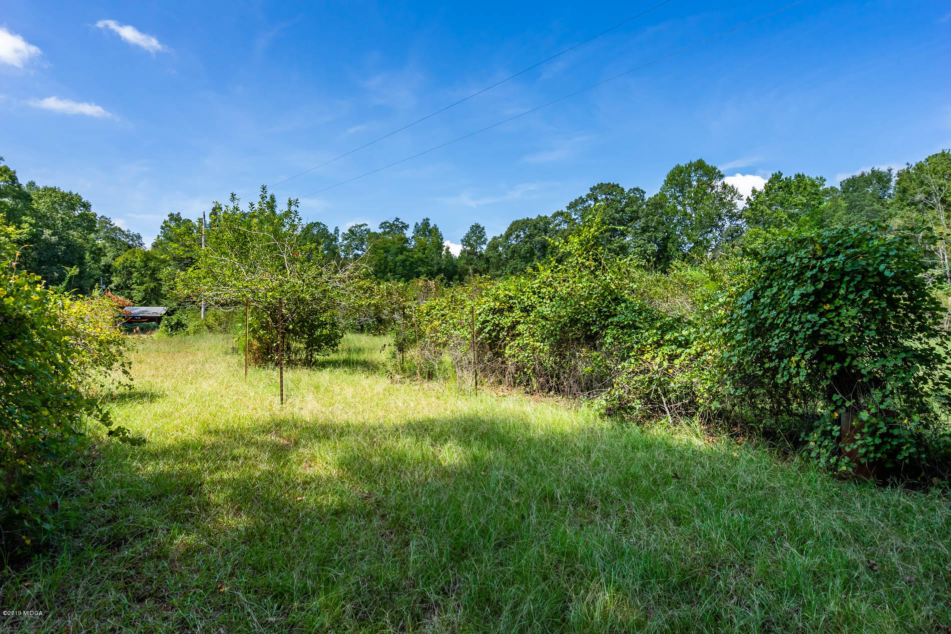 9748 Estes Road Macon, GA 31220 - Photo 66 of 144 62O4