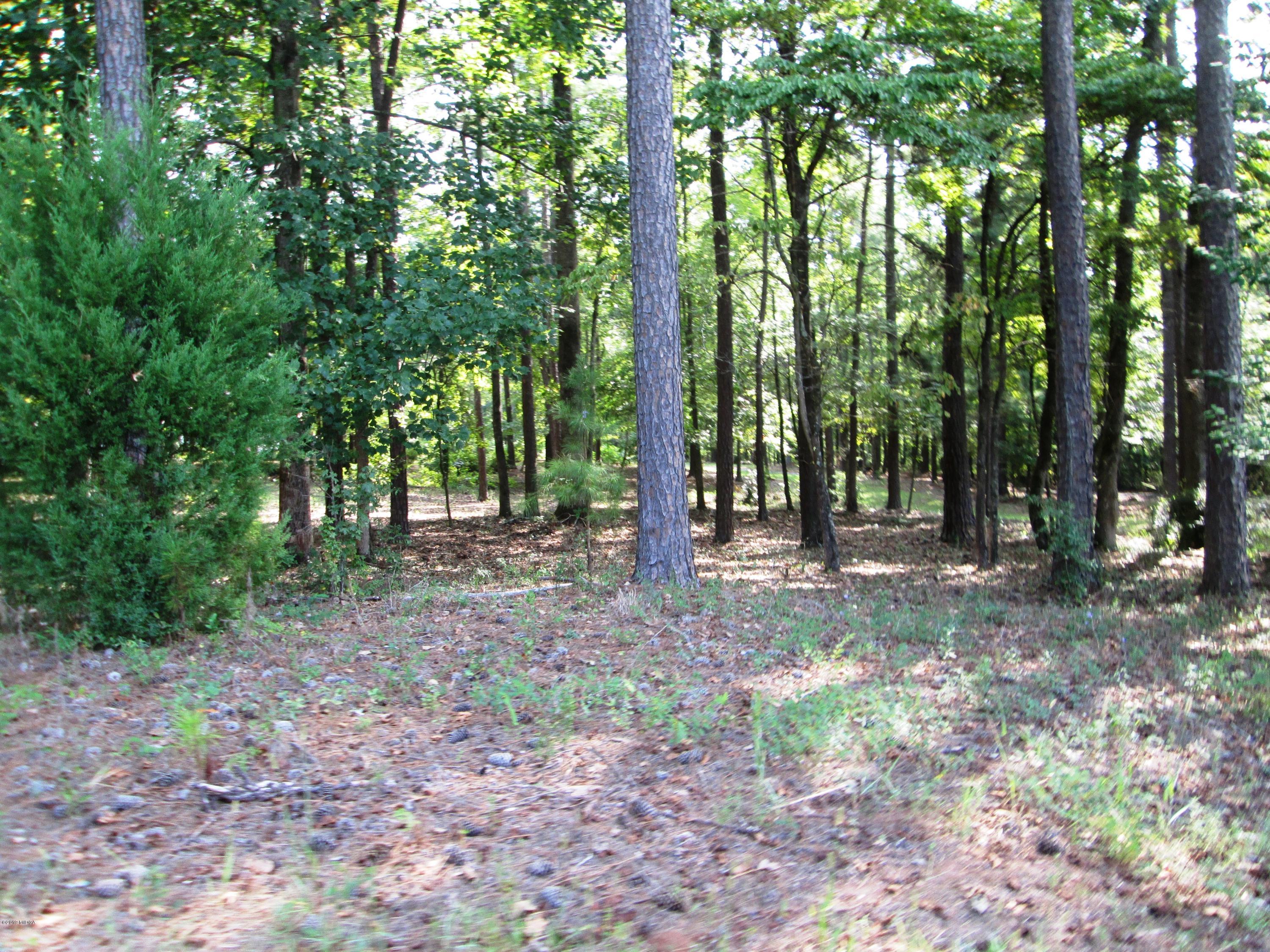 9748 Estes Road Macon, GA 31220 - Photo 73 of 144 a view of outdoor space and tree