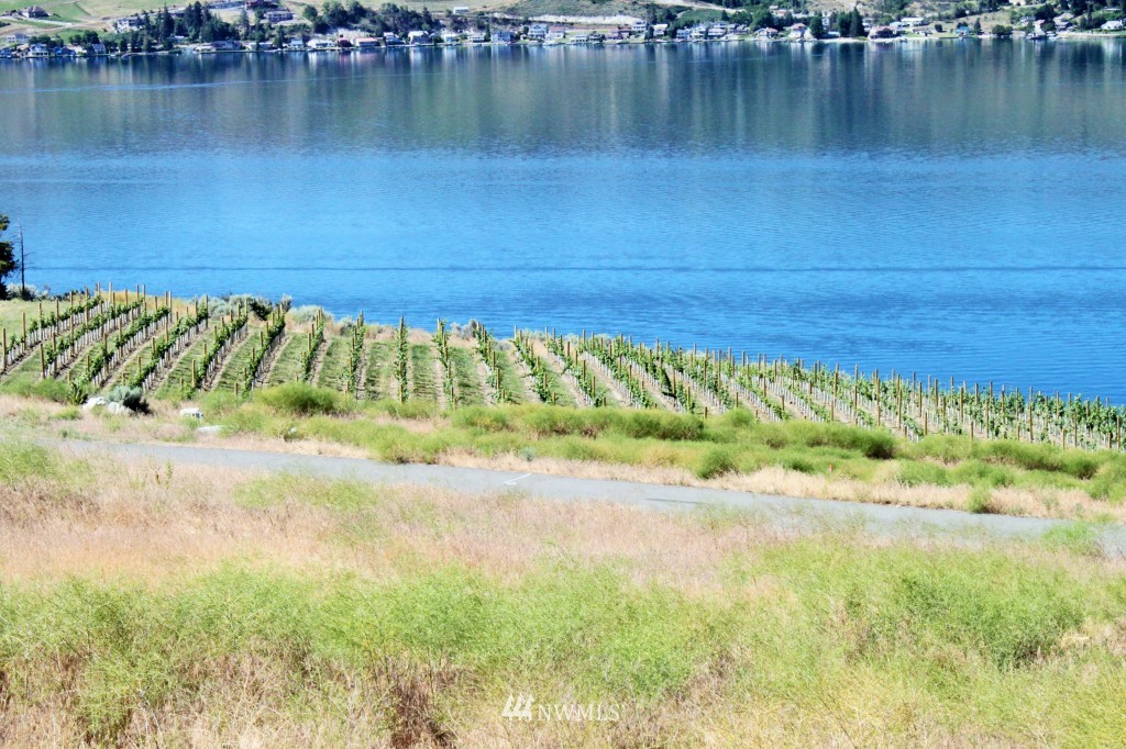 102 Winesap Road Chelan, WA 98816 - Photo 2 of 8 Gallery Image 2