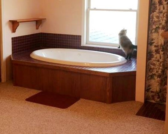 59 Middlefield Road Peru, MA 01235 - Photo 8 of 14