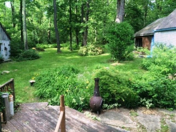 59 Middlefield Road Peru, MA 01235 - Photo 9 of 14