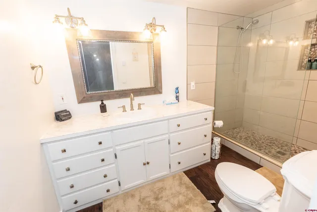 a bathroom with a sink a toilet a mirror and shower