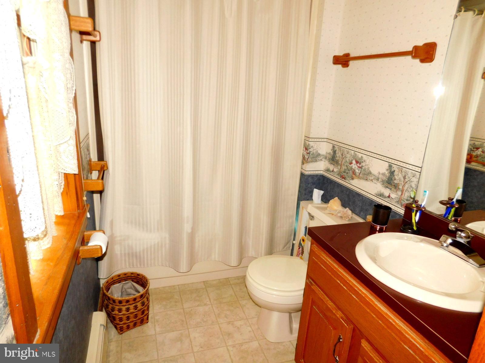 1832 Dry Run Road Swanton, MD 21561 - Photo 23 of 30 Bath