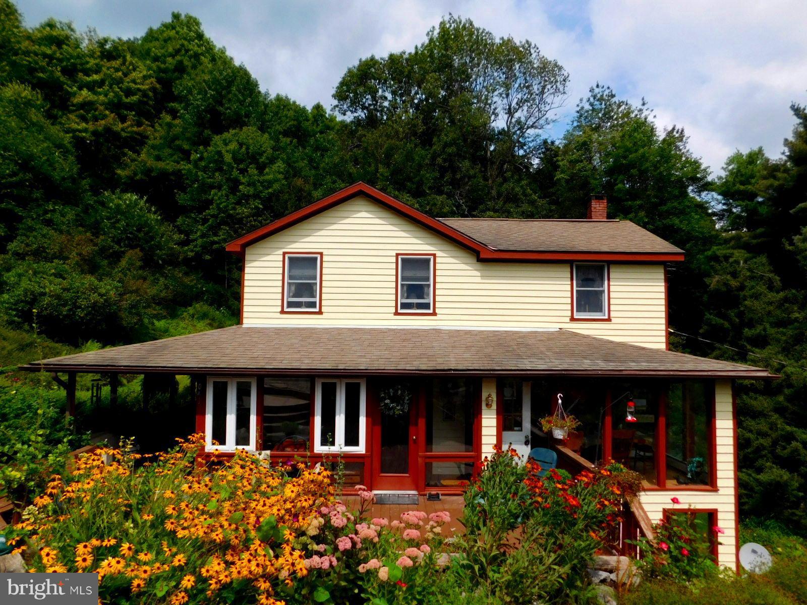 1832 Dry Run Road Swanton, MD 21561 - Photo 6 of 30 Exterior (General)