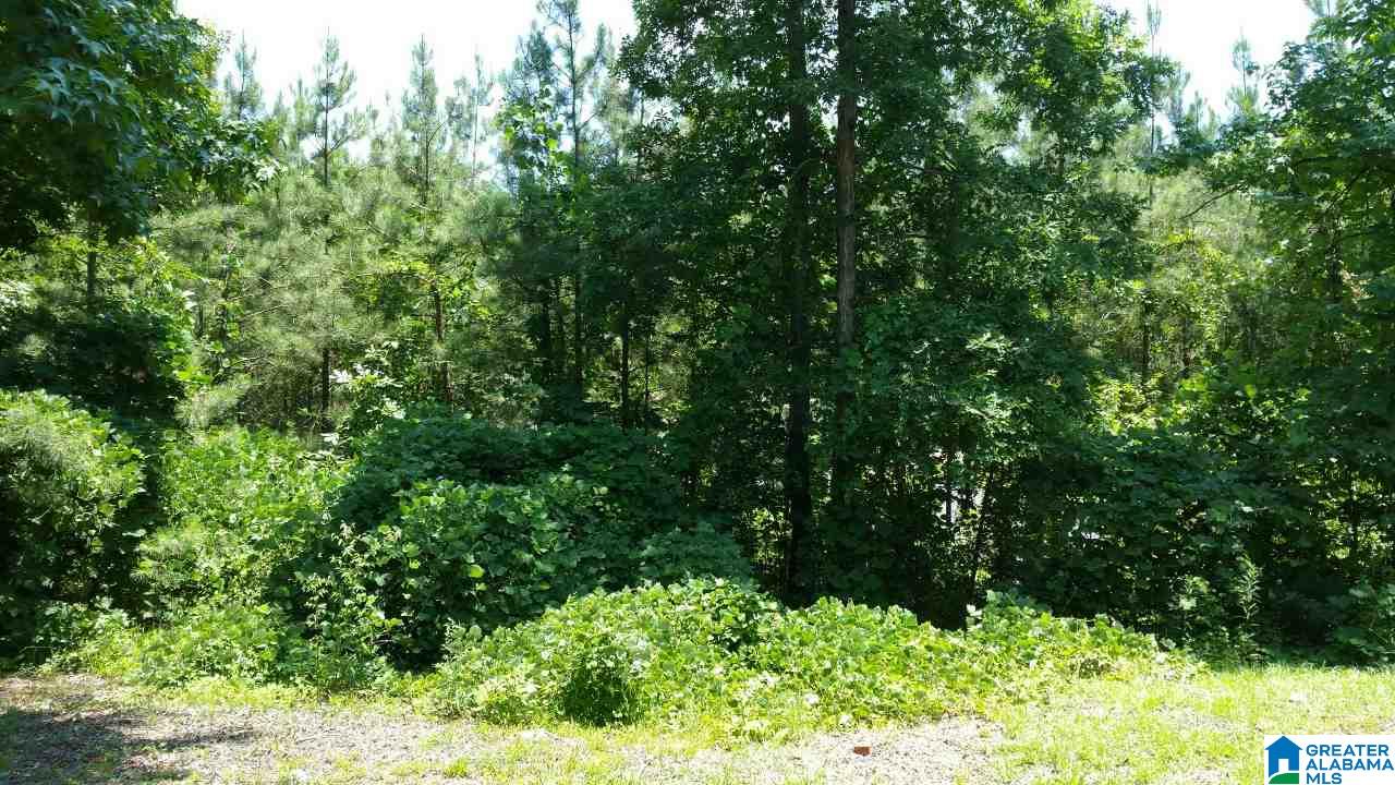 0 Canaan Road, Unit 1 Fayette, AL 35555 - Photo 1 of 3