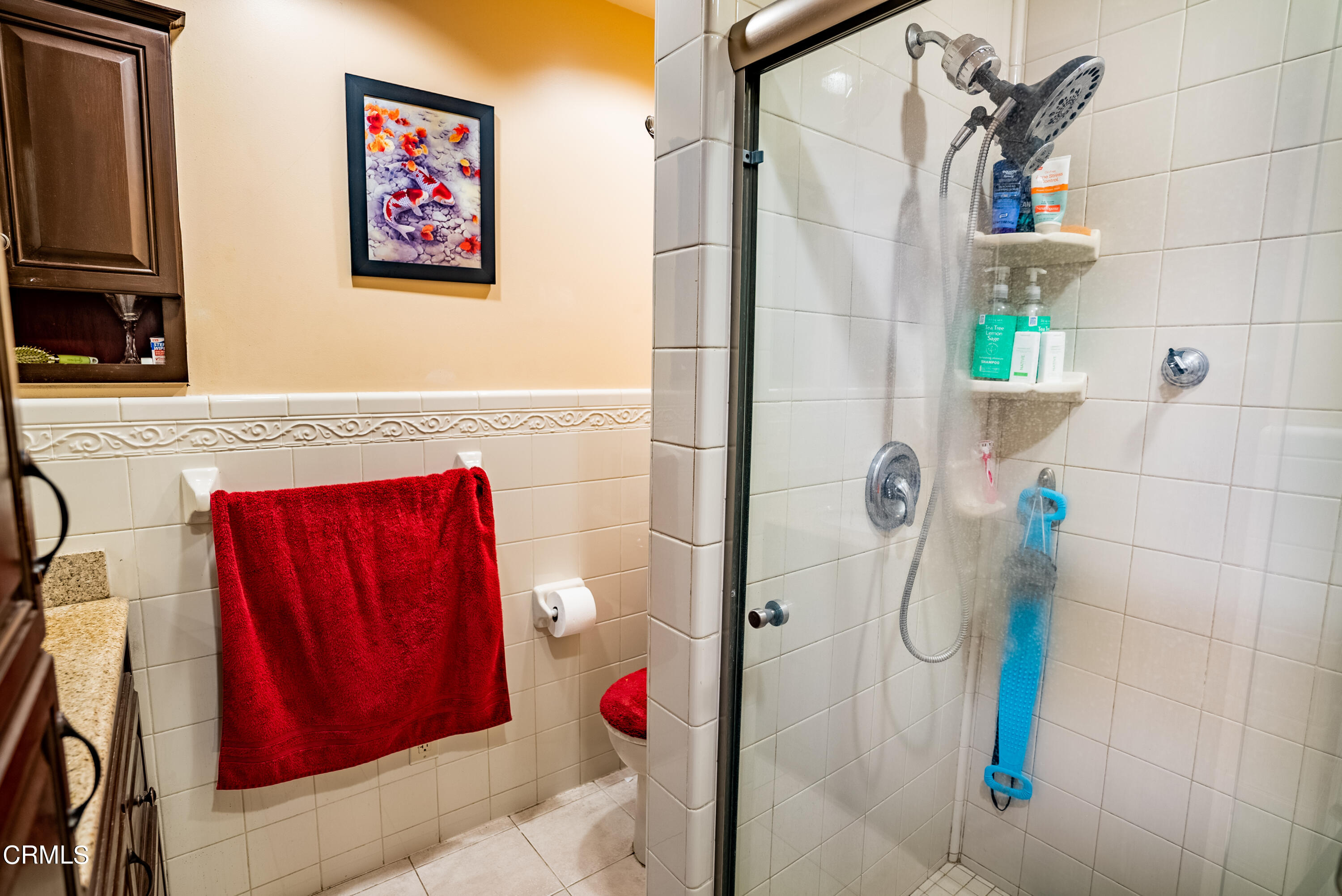 4731 Reading Drive Oxnard, CA 93033 - Photo 16 of 25 a bathroom with a shower and a mirror