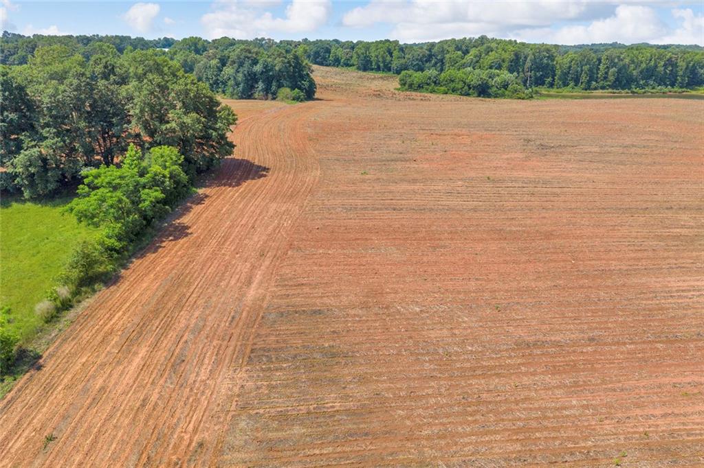 0 Lankford Road Lavonia, GA 30553 - Photo 15 of 44