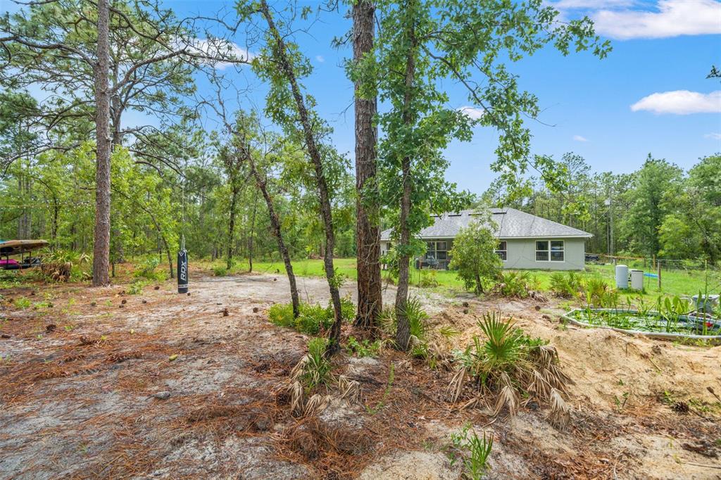 18336 Macek Road Weeki Wachee, FL 34614 - Photo 38 of 49