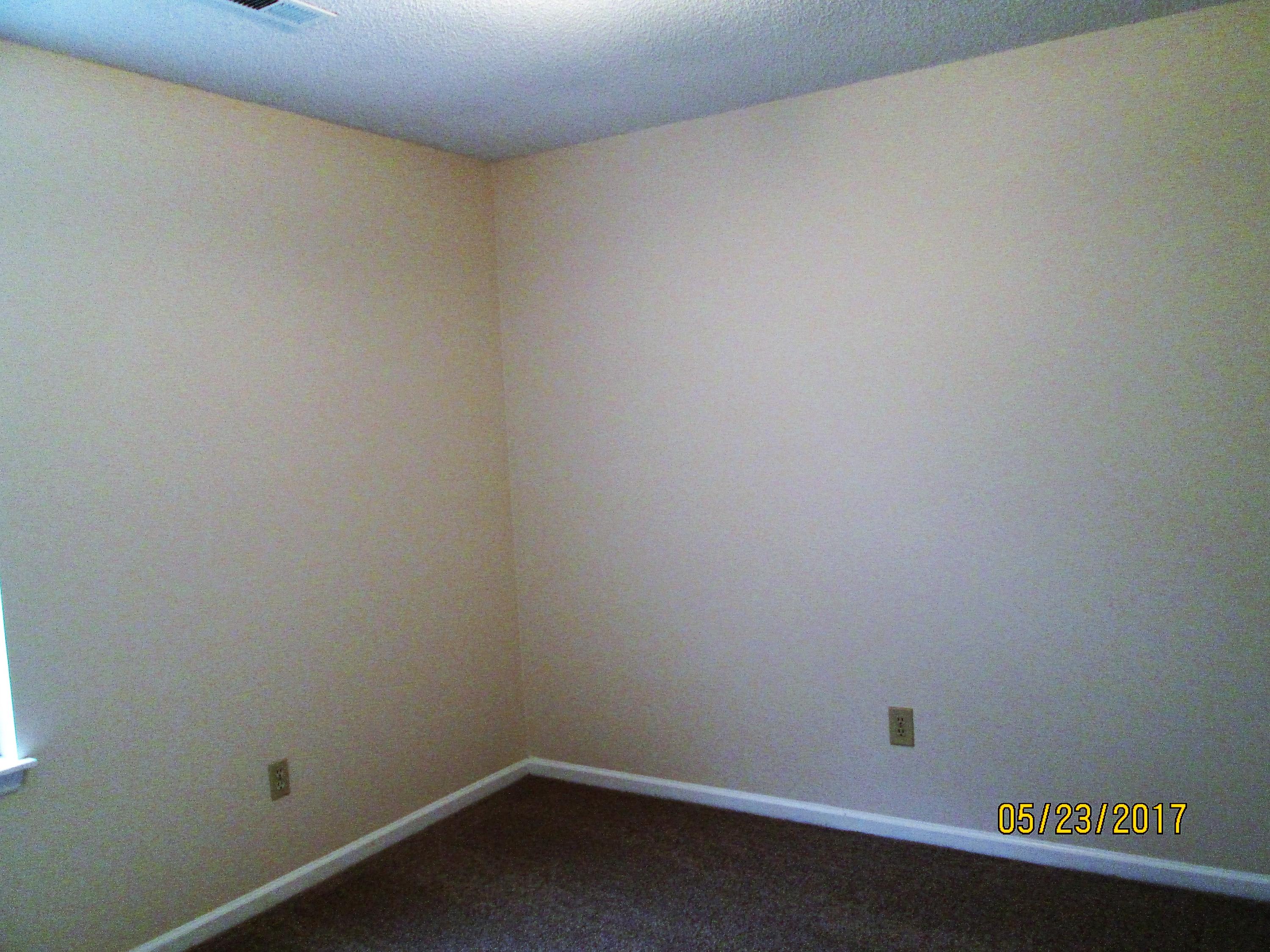 317 Indigo Road Goose Creek, SC 29445 - Photo 10 of 10 IMG_2187 (2)