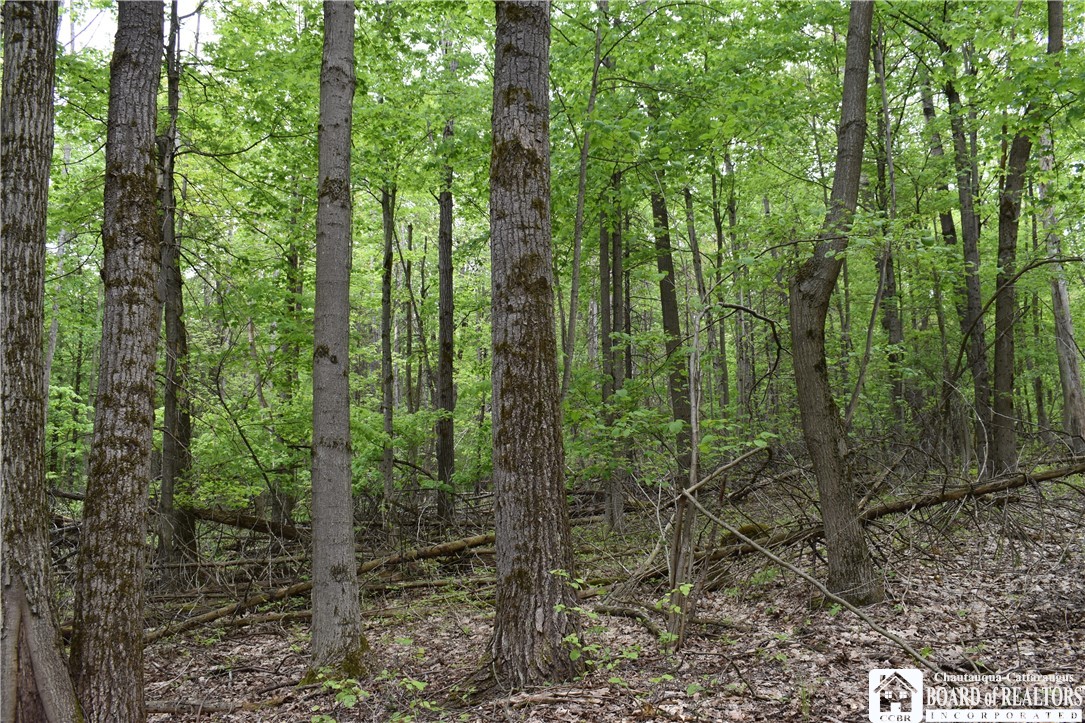 0 Harris Hollow Road Gerry, NY 14740 - Photo 19 of 23