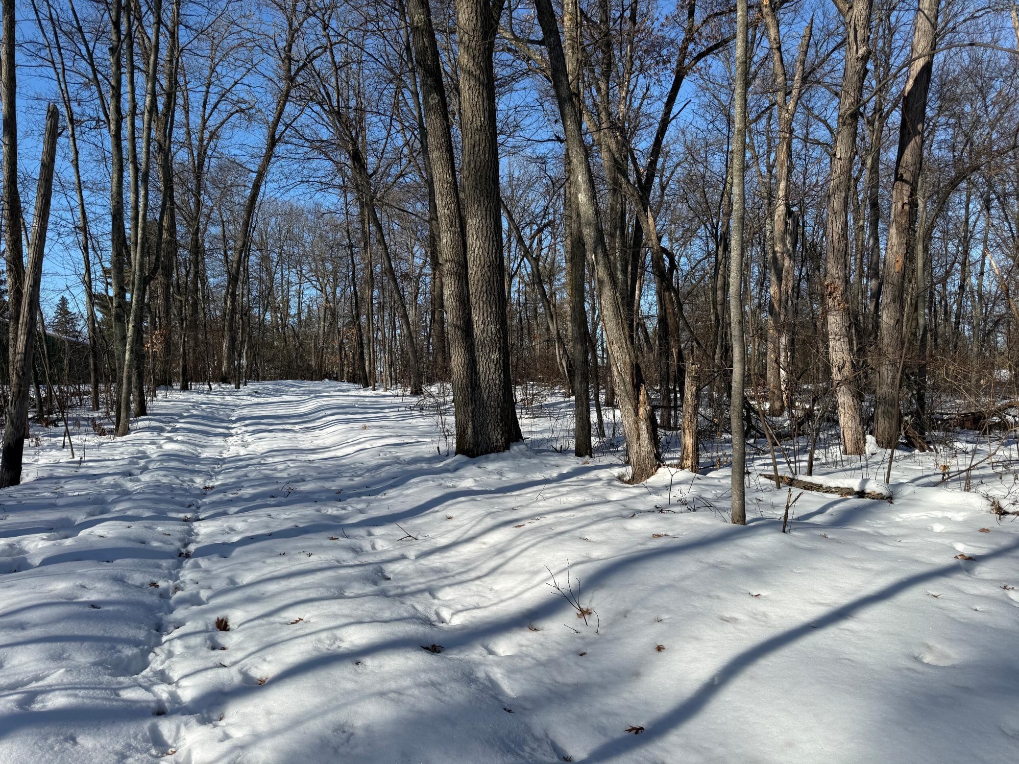 10551 Oak Point Road Northwest Cass Lake, MN 56633 - Photo 2 of 23