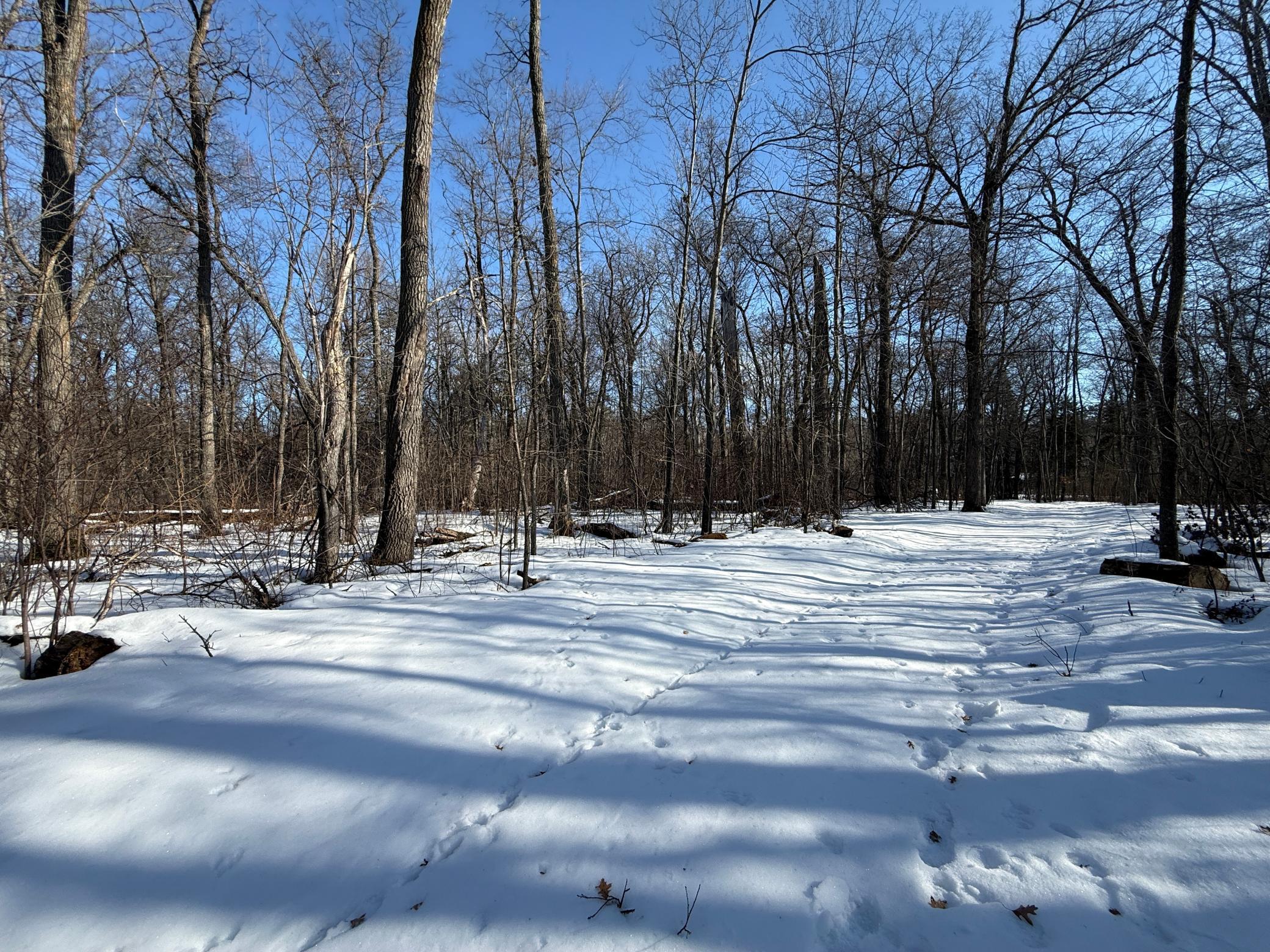 10551 Oak Point Road Northwest Cass Lake, MN 56633 - Photo 21 of 23