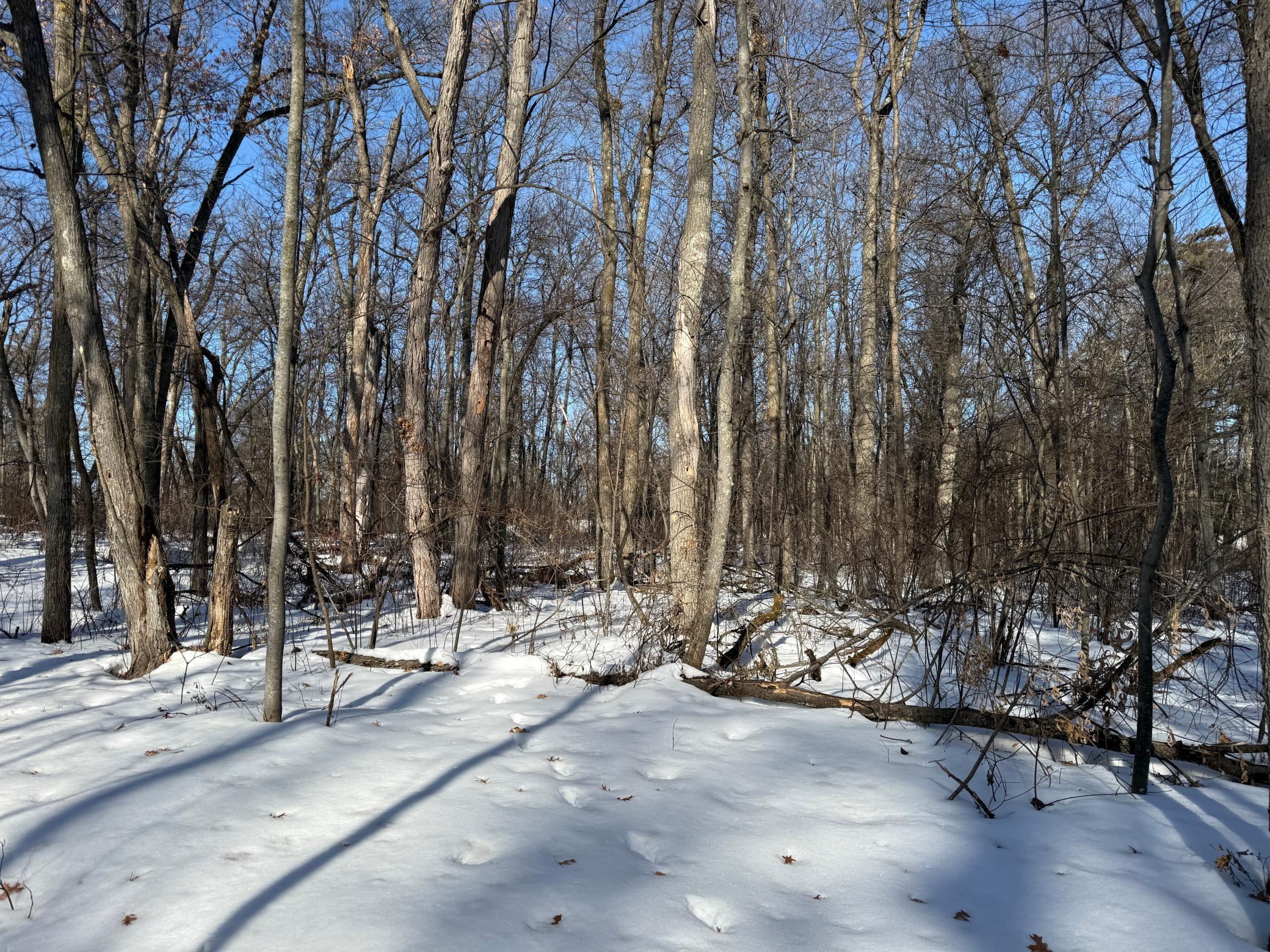 10551 Oak Point Road Northwest Cass Lake, MN 56633 - Photo 6 of 23