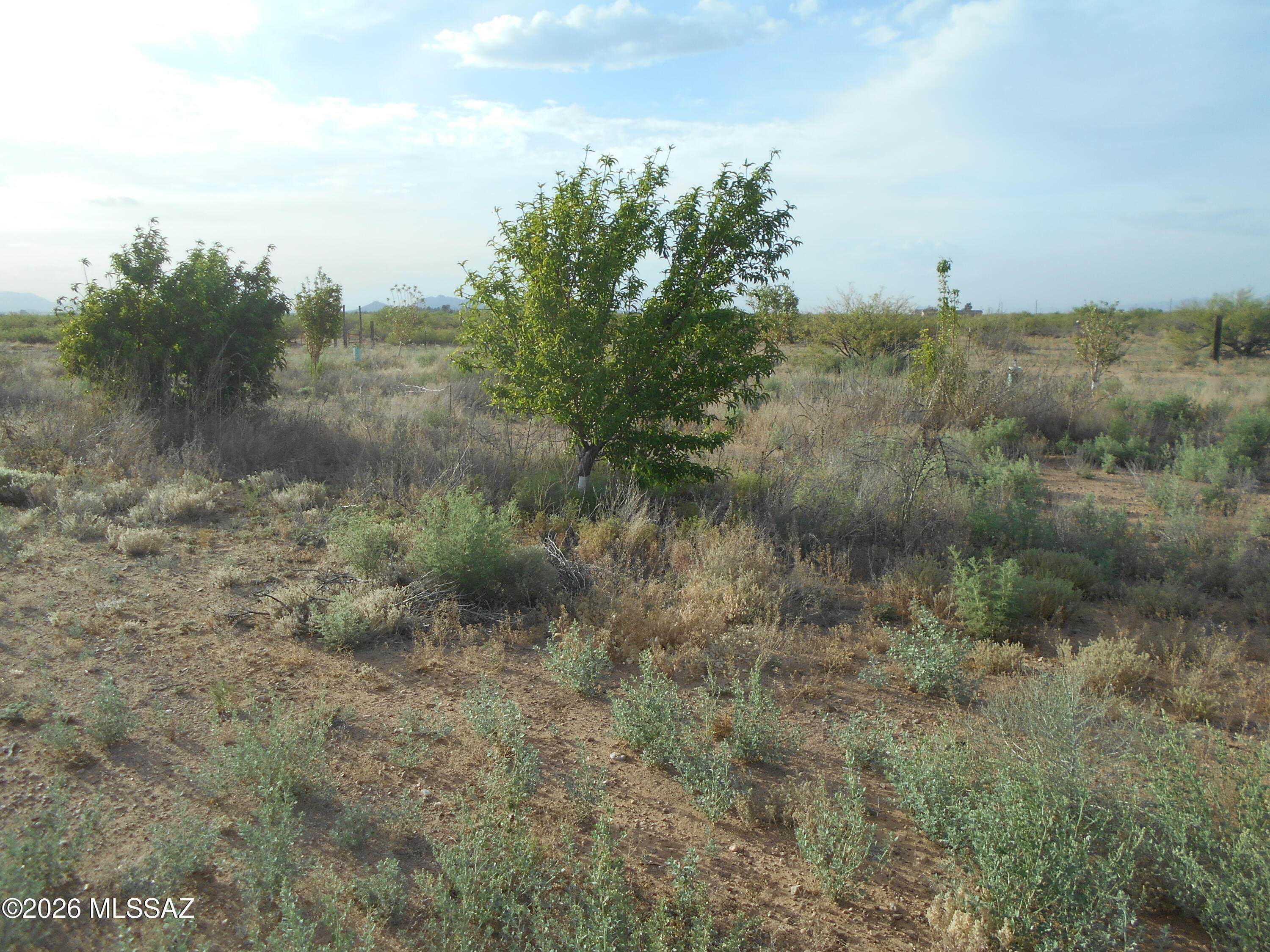 13684 South Tyree Road, Unit 70 Pearce, AZ 85625 - Photo 12 of 37