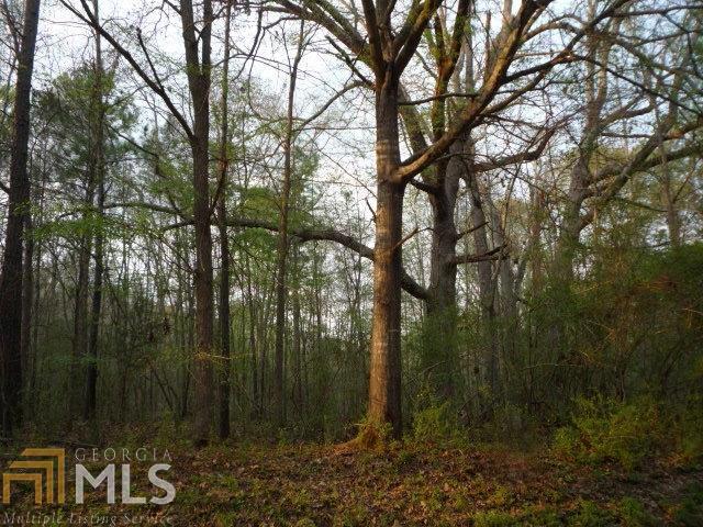 3 Bowdoin Road Juliette, GA 31046 - Photo 1 of 1 Gallery Image 1