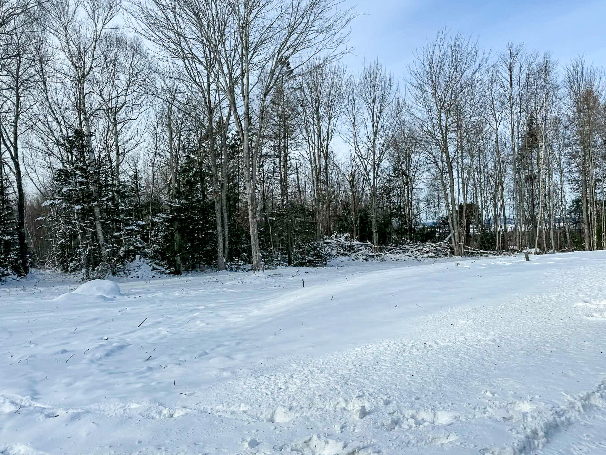 95 Conant Hill Road Meddybemps, ME 04657 - Photo 6 of 16 6