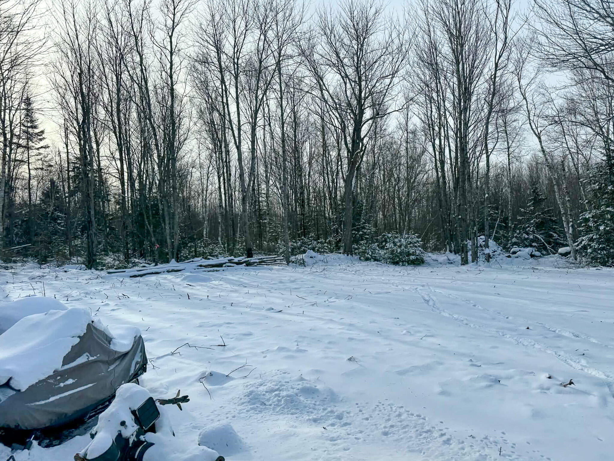 95 Conant Hill Road Meddybemps, ME 04657 - Photo 7 of 16 6a