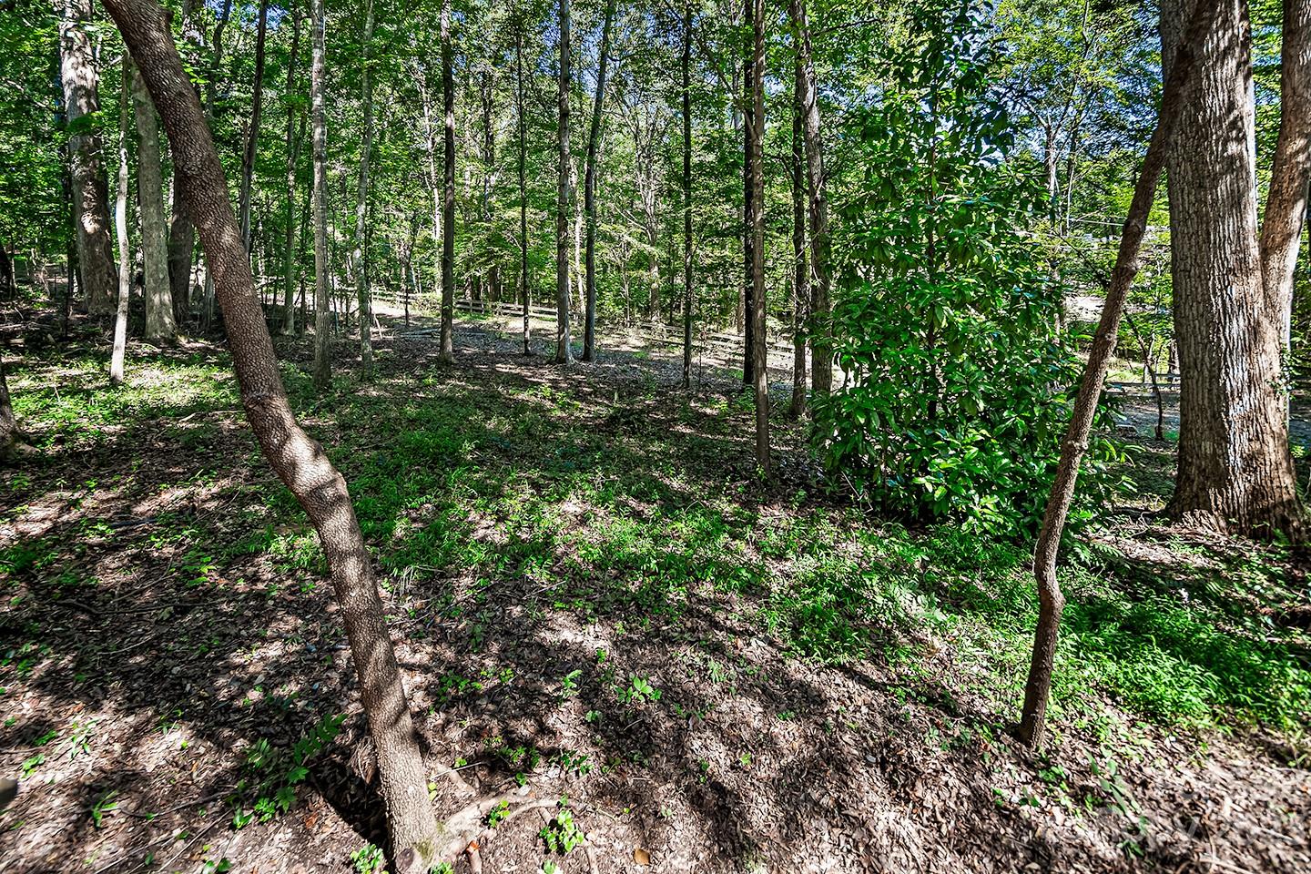 255 Thousand Oaks Road Indian Land, SC 29707 - Photo 7 of 37 a view of outdoor space and green space