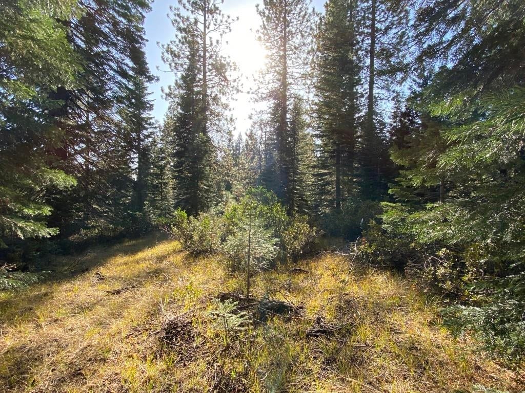 3-e-41 Red Fir Road McCloud, CA 96057 - Photo 20 of 38 Gallery Image 20