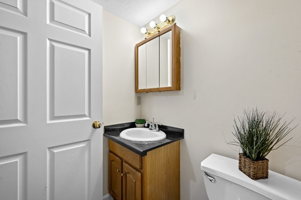 1 Hatfield Street, Unit 3 Worcester, MA 01604 - Photo 20 of 23 a bathroom with a sink a mirror and a potted plant