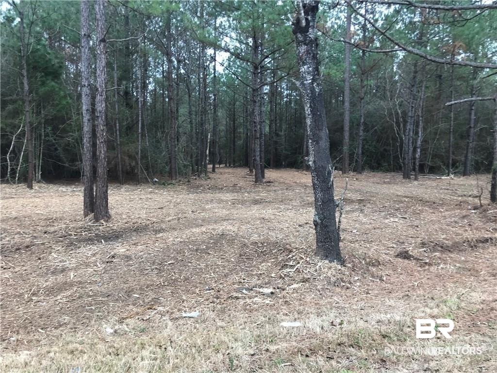 0 Wilmer Georgetown Road Wilmer, AL 36587 - Photo 2 of 2