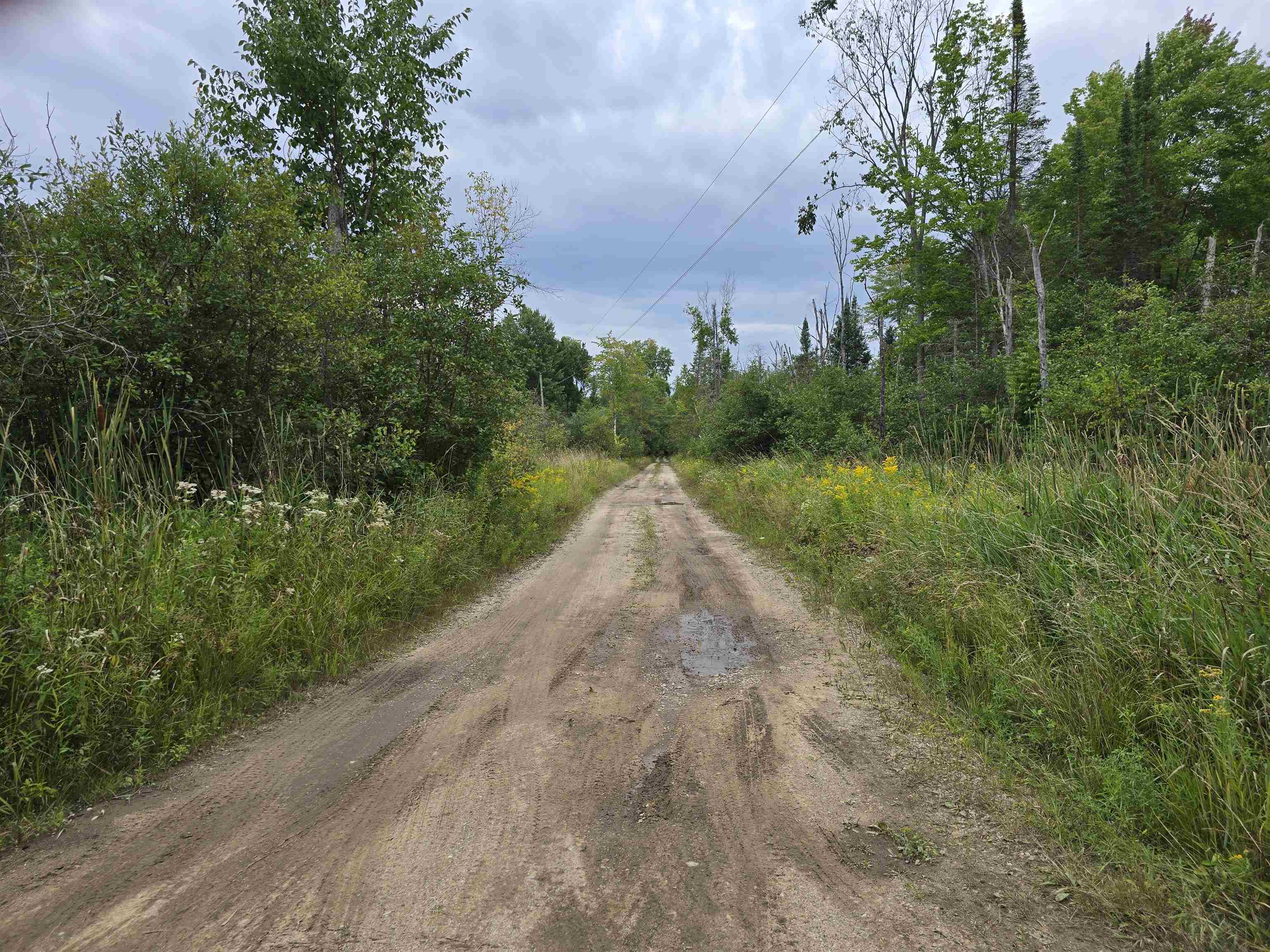 10.11-acres Golden Road Southeast Kalkaska, MI 49646 - Photo 3 of 17