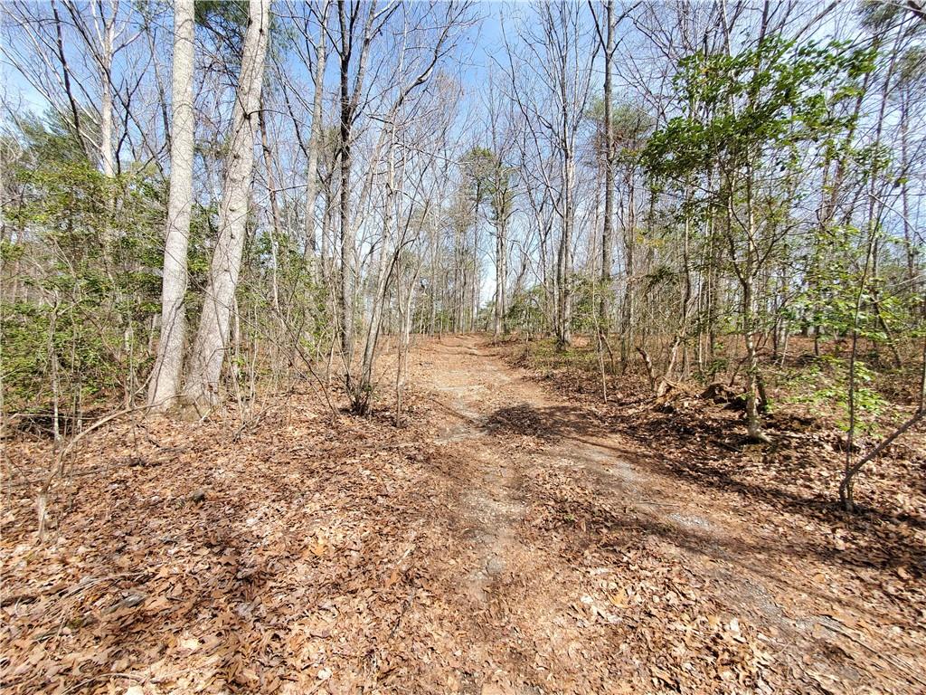 392 Beaver Ridge Road Jasper, GA 30143 - Photo 27 of 55