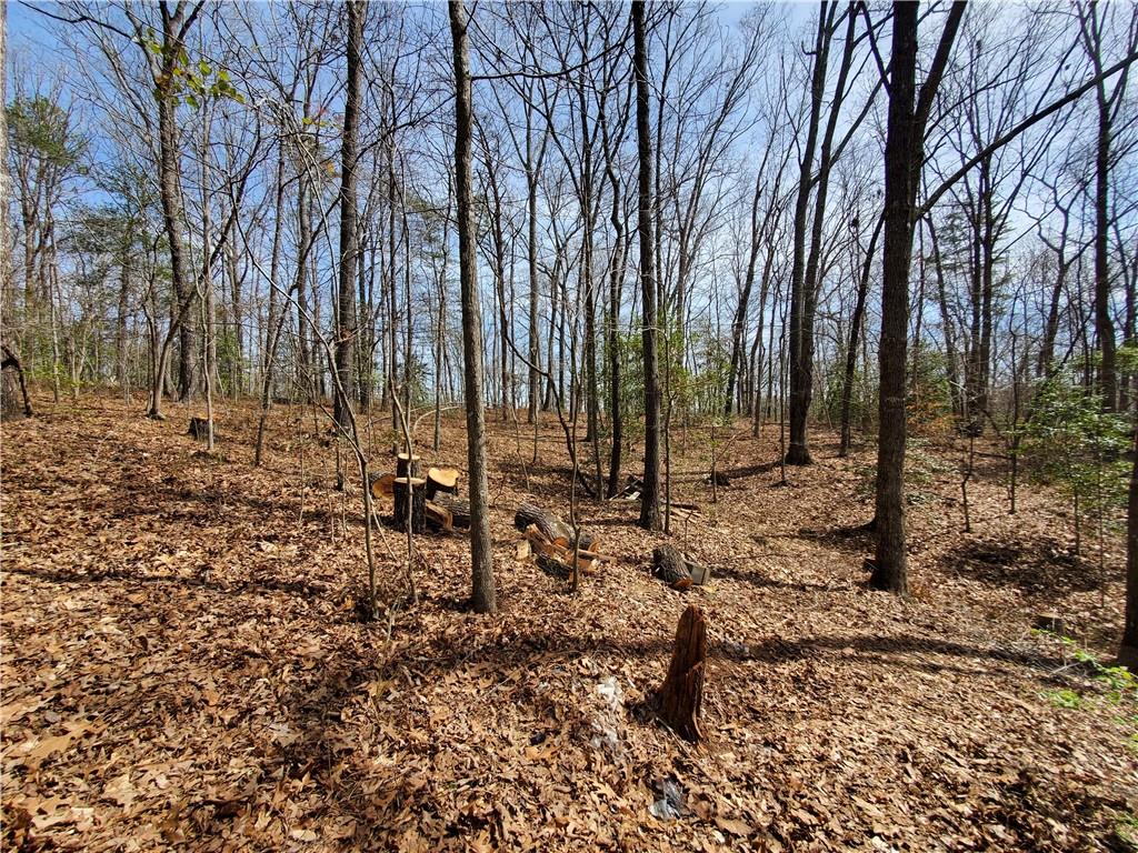 392 Beaver Ridge Road Jasper, GA 30143 - Photo 30 of 55 a view of outdoor space with lots of trees