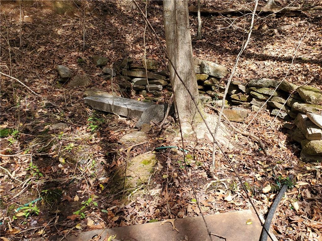 392 Beaver Ridge Road Jasper, GA 30143 - Photo 37 of 55 a view of outdoor space