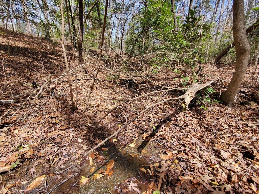 392 Beaver Ridge Road Jasper, GA 30143 - Photo 39 of 55 a view of a forest