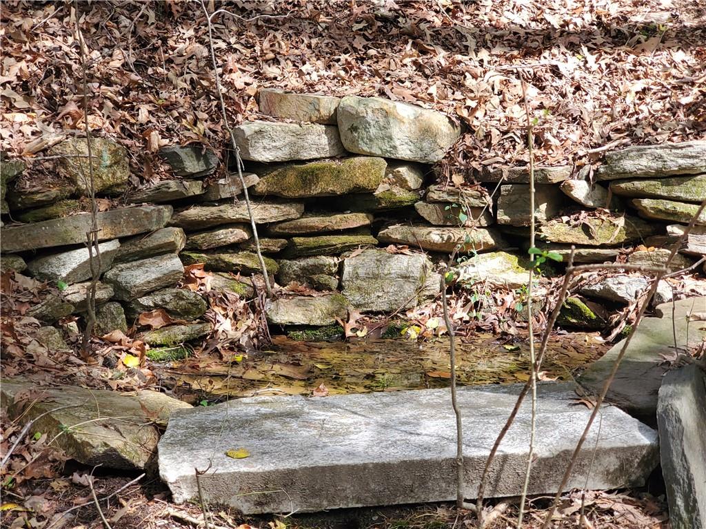 392 Beaver Ridge Road Jasper, GA 30143 - Photo 40 of 55