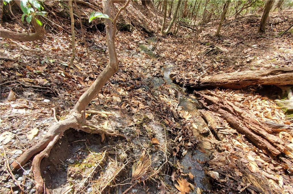 392 Beaver Ridge Road Jasper, GA 30143 - Photo 43 of 55 a view of a yard