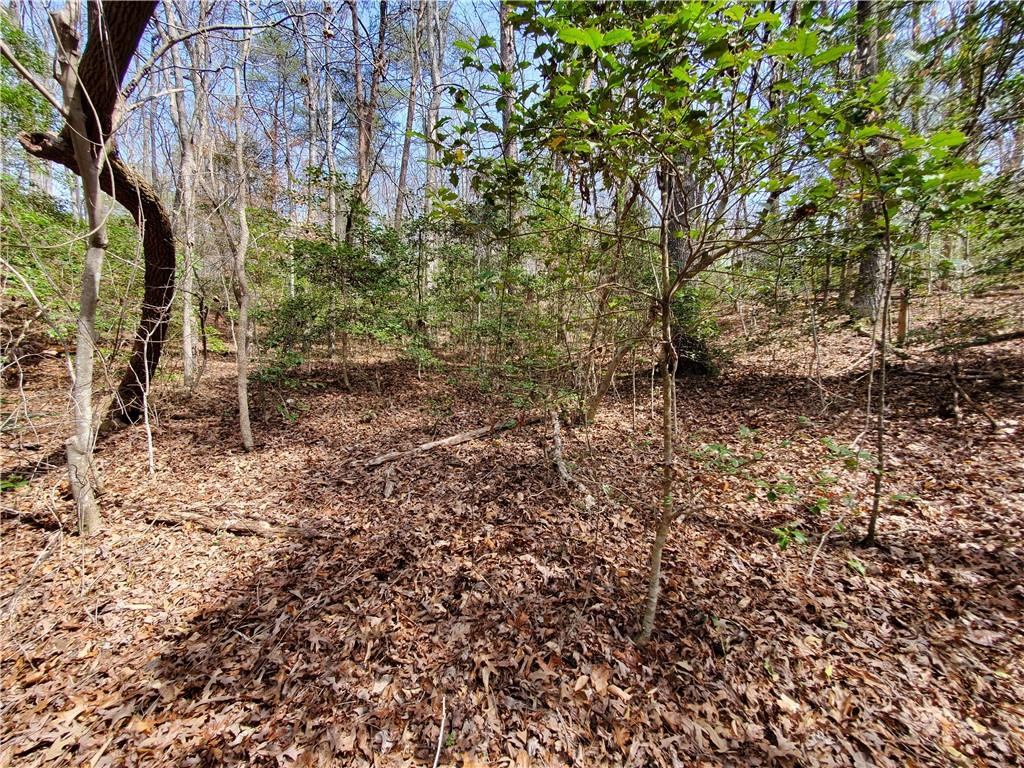392 Beaver Ridge Road Jasper, GA 30143 - Photo 48 of 55 a backyard of a house with lots of green space
