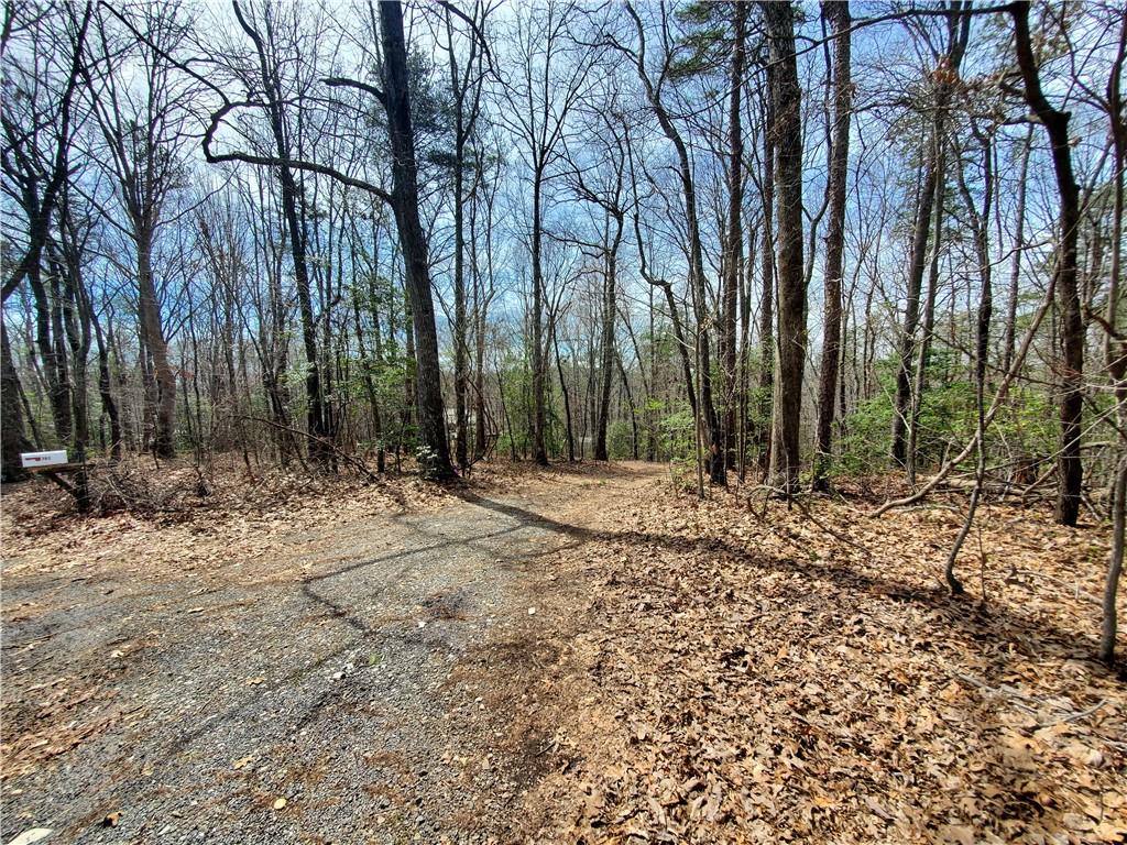 392 Beaver Ridge Road Jasper, GA 30143 - Photo 50 of 55 a view of outdoor space with trees