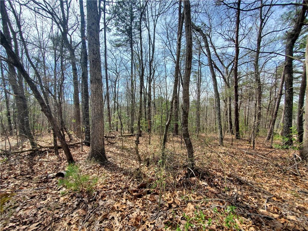 392 Beaver Ridge Road Jasper, GA 30143 - Photo 51 of 55 a view of outdoor space with lots of green space